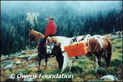 Mark Owens leading a packhorse in the Selkirk Mountains.