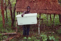 Mr. Mutofwe, beekeper.